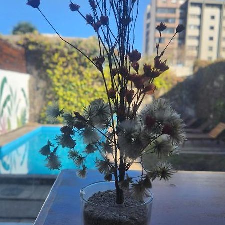Pacha Hostel Backpack Сальта Екстер'єр фото